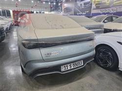 بي واي دي سيل 6